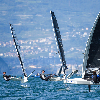 Moth Fleet